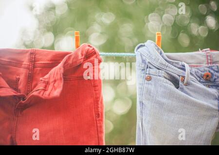 Rote und blaue Jeans hängen an einem Seil mit Wäscheklammern im Garten. Stockfoto