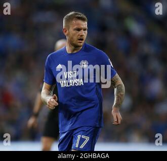 Aron Gunnarsson aus Cardiff City während des Meisterschaftsspiel im Cardiff City Stadium, Cardiff. Bilddatum: 15. August 2017. Bildnachweis sollte lauten: Simon Bellis/Sportimage via PA Images Stockfoto