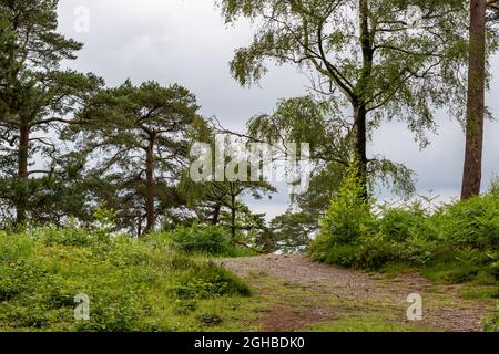 Fantastische Aufnahmen der Landschaft, die mit einer Kamera aufgenommen wurden Stockfoto