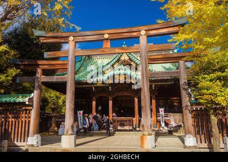 Shichi-Go-San („Sieben-fünf-drei“) Festfeier im Ushijima-Schrein mit Herbstfarben in Tokio Stockfoto