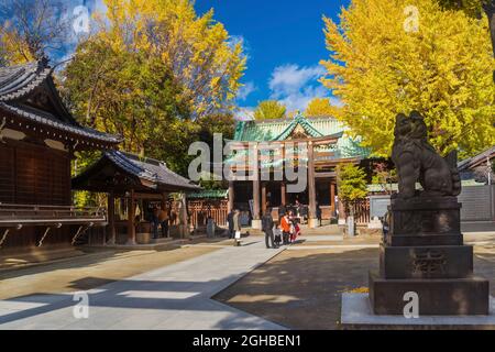 Shichi-Go-San („Sieben-fünf-drei“) Festfeier im Ushijima-Schrein mit Herbstfarben in Tokio Stockfoto