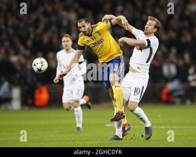 Tottenhams Harry Kane tötelt mit Juventus' Giorgio Chiellini während des Champions-League-Spiels von 16 im Wembley-Stadion in London. Bilddatum: 7. März 2018. Bildnachweis sollte lauten: David Klein/Sportimage via PA Images Stockfoto