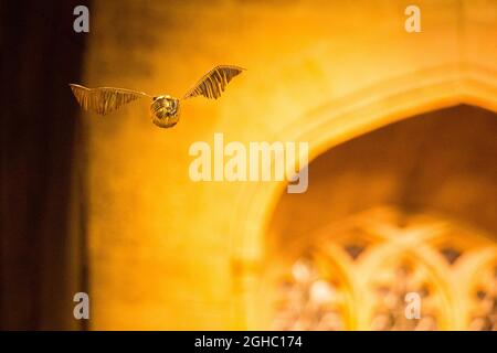 Ein goldener Spitzel fliegt in der Harry Potter World in London Stockfoto