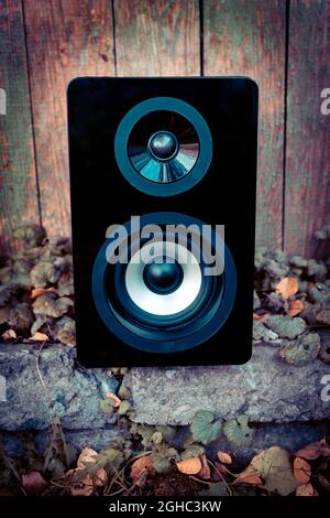 Lautsprecherbox auf dem verwitterten Holzplanken Hintergrund Stockfoto