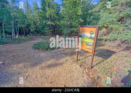 Ein Hinweisschild am Ausgangspunkt zum Grönländischen See entlang der Cape Royal Road am Grand Canyon North Rim Arizona. Der See ist eigentlich ein Waschbecken Loch, das Stockfoto