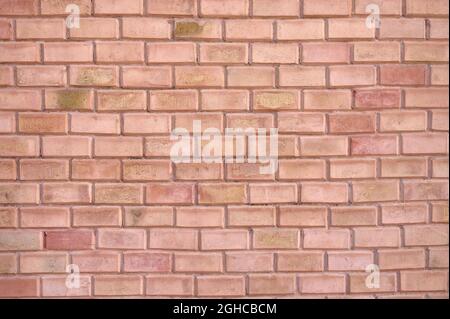 Detail einer Wand aus roten und braunen Ziegelsteinen mit Mörtel Stockfoto