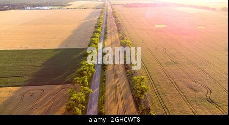 Drohne, die bei Sonnenuntergang über der Straße zwischen Weizenfeldern fliegt. Stockfoto