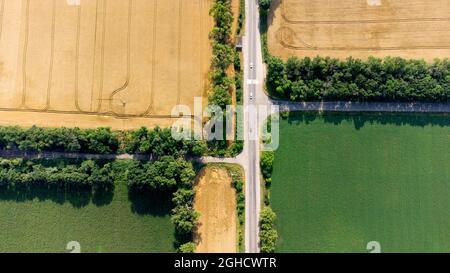 Luftdrohnenflug über eine asphaltierte Straße zwischen gelb und grün Stockfoto