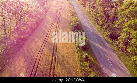 Luftdrohnenflug über Highway, Weizenfeld und grüne Bäume bei Sonnenuntergang Stockfoto