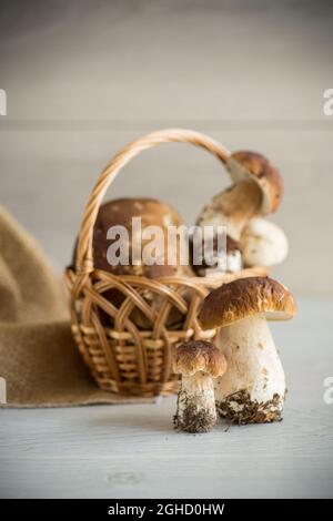 Ein Haufen frisch geernteter Waldpilze in einem Korb auf einem Holztisch Stockfoto