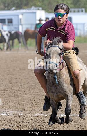 Little Braves Event beim Enoch Cree Nation Indian Relay (Horse) Race. Alberta Kanada. Stockfoto