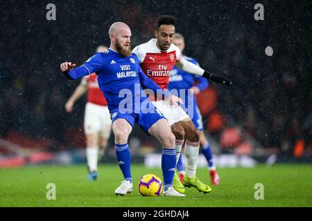 Aron Gunnarsson aus Cardiff City hält die Herausforderung von Pierre-Emerick Aubameyang aus Arsenal während des Spiels der Premier League im Emirates Stadium in London ab. Bilddatum: 29. Januar 2019. Bildnachweis sollte lauten: Craig Mercer/Sportimage via PA Images Stockfoto