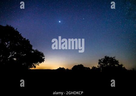 Blick auf den Nordstern auf den Nachtskies von Zentral-Texas Stockfoto