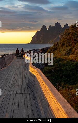 Mädchen mit Smartphone fotografieren die Mitternachtssonne, die auf dem Gehweg steht, Tungeneset ViewPoint, Senja, Troms County, Norwegen Stockfoto