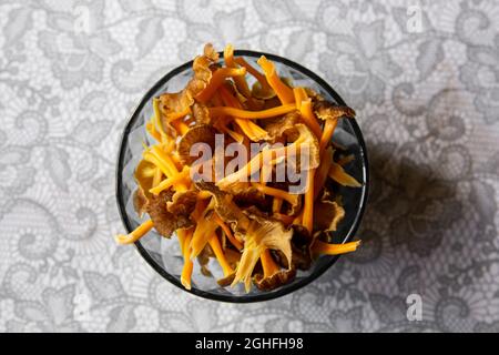 Craterellus lutescens oder Cantharellus lutescens oder Cantharellus xantopus oder Cantharellus aurora, allgemein bekannt als Gelber Fuß. Stockfoto