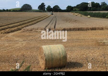 Feld, das am Sommertag in West Yorkshire, Großbritannien, von einem Mähdrescher mit unscharfer Luft und Wolken geerntet wird Stockfoto