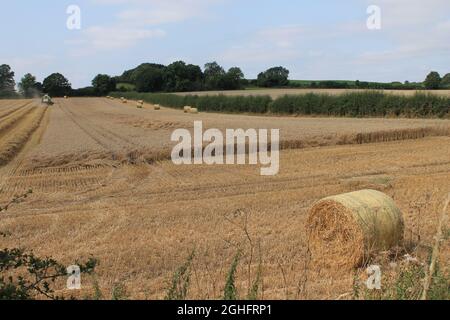 Feld, das am Sommertag in West Yorkshire, Großbritannien, von einem Mähdrescher mit unscharfer Luft und Wolken geerntet wird Stockfoto