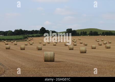 Heuballen auf dem Feld warten darauf, von Landwirten an einem Sommernachmittag in der Nähe von Wakefield in West Yorkshire in Großbritannien geerntet zu werden Stockfoto