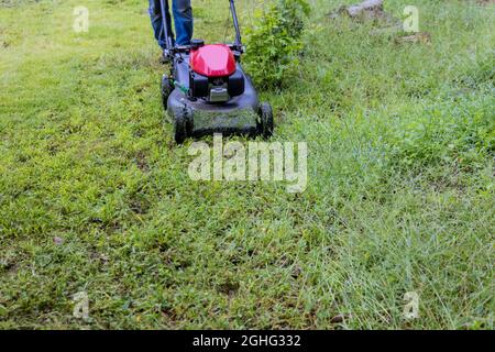 Hausangestellter im Rasenmäher-Gärtner schneidet das Gras-Aufsitzer Rasenmäher Stockfoto