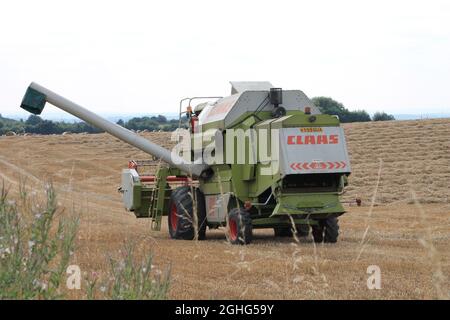 Landmaschinen, ein Mähdrescher in einem Maisfeld, der an einem Sommertag in der Nähe von Wakefield West Yorkshire in Großbritannien Heu mit runden Strohballen erntet Stockfoto