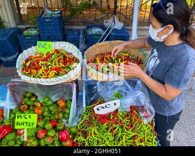 Paprika in verschiedenen Farben Stockfoto