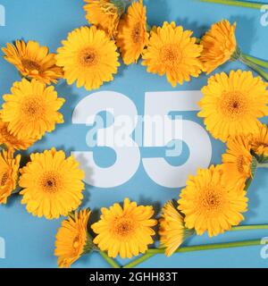 Nummer 35 umgeben von gelben Gerbera-Blüten auf blauem Hintergrund. Stockfoto