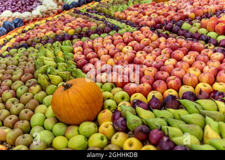 Auswahl an frischem Obst und Gemüse. Kürbis, Äpfel, Birnen und Zwiebeln. Herbsternte. Stockfoto