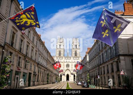 Sainte-Croix d'Orléans Kathedrale von der Joan of Arch Straße aus gesehen, Orleans, Loiret, Centre-Val de Loire Region, Frankreich Stockfoto