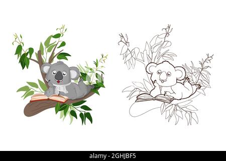 Malbuch, kleine Koala liest ein Buch auf Eukalyptus branches.Vector, Illustration im Cartoon-Stil, schwarz-weiße Linienkunst für Kinder Stock Vektor