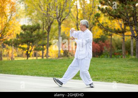 Fröhlicher älterer Mann, der im Park Tai Chi praktiziert Stockfoto