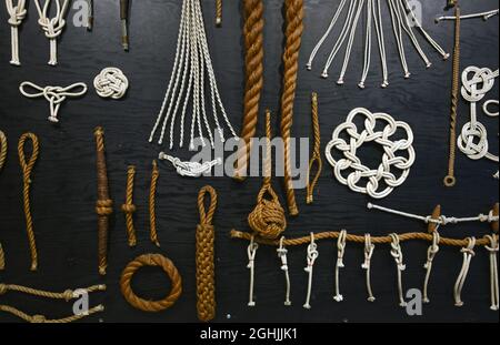 Eine Vielzahl von Beispielen von Arten von Knoten im Seil sind auf einem Knotenbrett im Maritime Museum of British Columbia in Victoira, BC, Kanada, ausgestellt Stockfoto