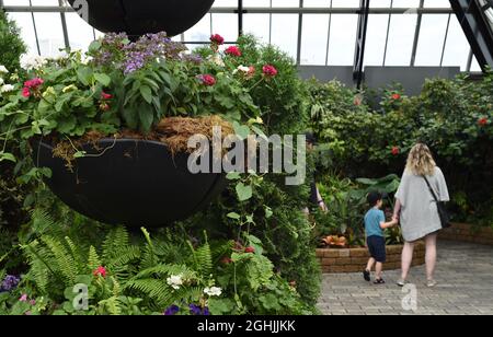 Eine Frau und ein Kind blicken auf eine Ausstellung im botanischen Garten und Gartenbauzentrum des Muttart Conservatory in Edmonton, Alberta, Kanada Stockfoto