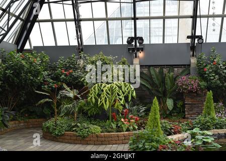 Eine Ausstellung von Blumen, Pflanzen und Sträuchern in den botanischen Gärten des Muttart Conservatory und im Gartenbauzentrum in Edmonton, Alberta, Kanada. Stockfoto