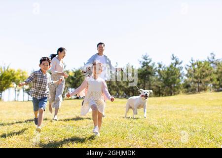 Fröhliche Familie Wanderhund auf der Wiese Stockfoto