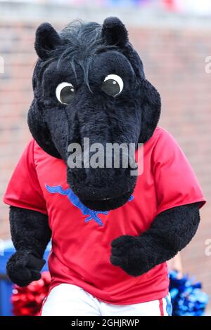 Dallas, Texas, USA. September 2021. SMU Maskottchen in Aktion während des Spiels zwischen den Abilene Christian Wildcats und den SMU Mustangs im Gerald J. Ford Stadium in Dallas, Texas. (Bild: © Dan Wozniak/ZUMA Press Wire) Stockfoto