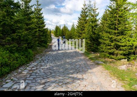 KARPACZ, POLEN - 09. Mai 2018: Ein Pfad durch Bäume auf dem Karkonosze-Berg in Karpacz, Polen Stockfoto