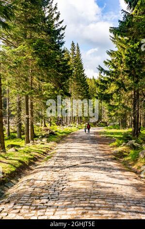 KARPACZ, POLEN - 09. Mai 2018: Eine vertikale Aufnahme eines Pfades durch Bäume auf dem Karkonosze-Berg in Karpacz, Polen Stockfoto