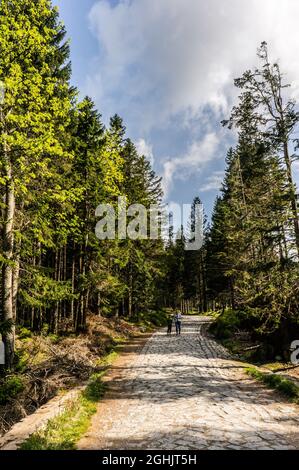 KARPACZ, POLEN - 09. Mai 2018: Eine vertikale Aufnahme eines Pfades durch Bäume auf dem Karkonosze-Berg in Karpacz, Polen Stockfoto