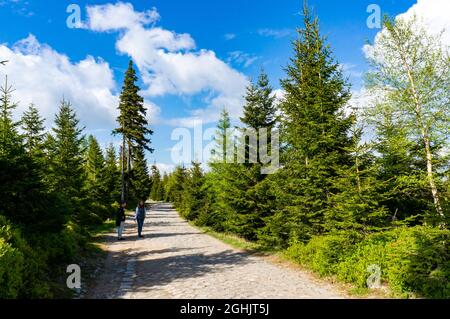 KARPACZ, POLEN - 09. Mai 2018: Ein Pfad durch Bäume auf dem Karkonosze-Berg in Karpacz, Polen Stockfoto