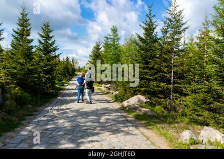 KARPACZ, POLEN - 09. Mai 2018: Die Menschen, die auf einem Pfad durch Bäume auf dem Karkonosze-Berg in Karpacz, Polen, wandern Stockfoto