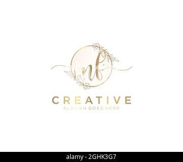 NF feminine Logo Schönheit Monogramm und elegantes Logo-Design, Handschrift Logo der ursprünglichen Signatur, Hochzeit, Mode, floral und botanisch mit kreativen Stock Vektor