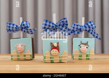 Quadratischer Lutscher aus Schokolade im Bauernstil. Süßigkeiten mit Marzipan in Form von Tieren hinter dem Zaun - Schwein, Pferd und Kuh dekoriert. Stockfoto