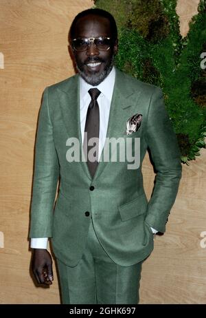 Aktenfoto vom 13. Mai 2014 von Michael K. Williams besucht die Party des Museum of Modern Art 2014 in New York City, NY, USA. Der amerikanische Schauspieler Michael K Williams, der vor allem dafür bekannt ist, in der HBO-Drama-Serie The Wire zu spielen, wurde in seiner New Yorker Wohnung tot aufgefunden. Er war 54 Jahre alt. US-Medien zitieren Strafverfolgungsquellen, die sagen, er sei an einer vermuteten Überdosis von Drogen gestorben. Dies wurde offiziell nicht bestätigt. Foto von Dennis Van Tine/ABACAPRESS.COM Stockfoto