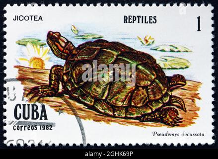 KUBA - UM 1982: Eine auf Kuba gedruckte Marke zeigt den kubanischen Schieber, pseudemys decussata, eine Schildkrötenart, um 1982 Stockfoto