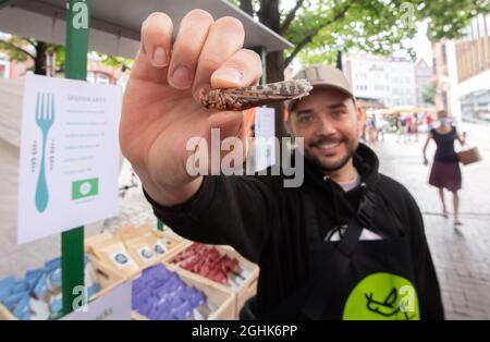 Hannover, Deutschland. August 2021. Michael Blautzik von Bugoo zeigt eine Heuschrecke, die Insekten zum Verzehr auf dem Linden-Markt verkauft. (Zu dpa-KORR: „am Tisch sind die Heuschrecken bereit: Würdest du Insekten essen?“) Quelle: Julian Stratenschulte/dpa/Alamy Live News Stockfoto