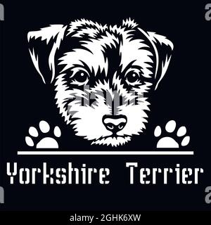 Yorkshire TerrierPeeking Dog - Kopf isoliert auf weißem - Vektorstock Stock Vektor
