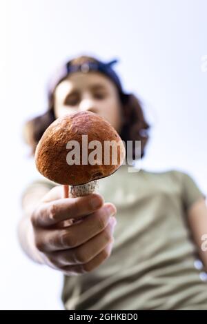 Ein Mädchen im Teenageralter hält einen Steinpilz in der Hand. Saisonales Pilzsammeln. Nahaufnahme. Vegetarische Bio-Wildgerichte. Suche und Sammlung von essbarem Moschus Stockfoto