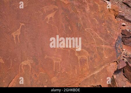 Ort der antiken Petroglyphen. Geschnitzt mit Giraffen, Pferden und anderen Tieren. Der versteinerte Wald und das Weltkulturerbe Twyfelfontein (ǀUi-ǁA Stockfoto