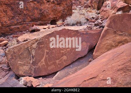 Ort der antiken Petroglyphen. Geschnitzt mit Giraffen, Pferden und anderen Tieren. Der versteinerte Wald und das Weltkulturerbe Twyfelfontein (ǀUi-ǁA Stockfoto