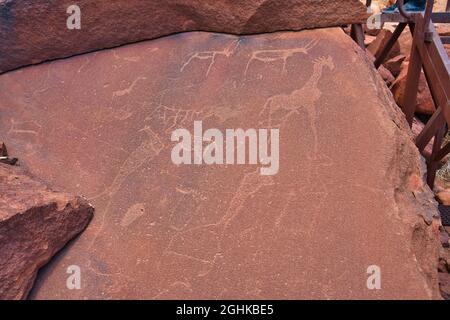 Ort der antiken Petroglyphen. Geschnitzt mit Giraffen, Pferden und anderen Tieren. Der versteinerte Wald und das Weltkulturerbe Twyfelfontein (ǀUi-ǁA Stockfoto